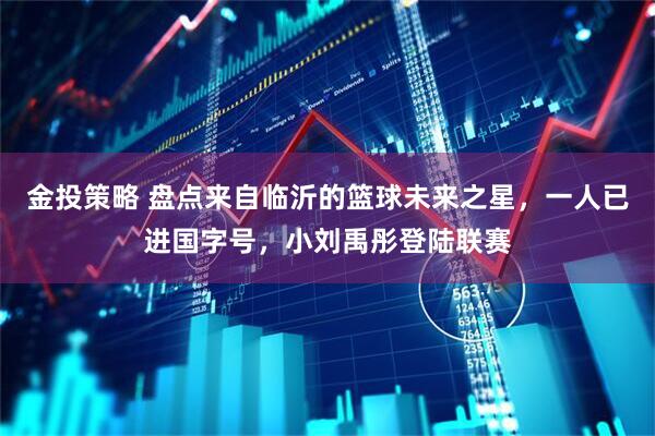 金投策略 盘点来自临沂的篮球未来之星，一人已进国字号，小刘禹彤登陆联赛